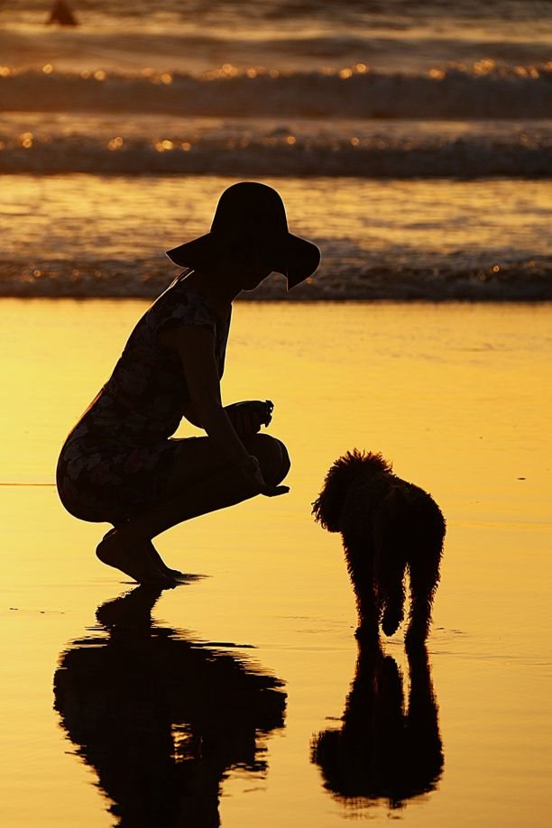A woman and her small dog, silhouetted at sunset by the water